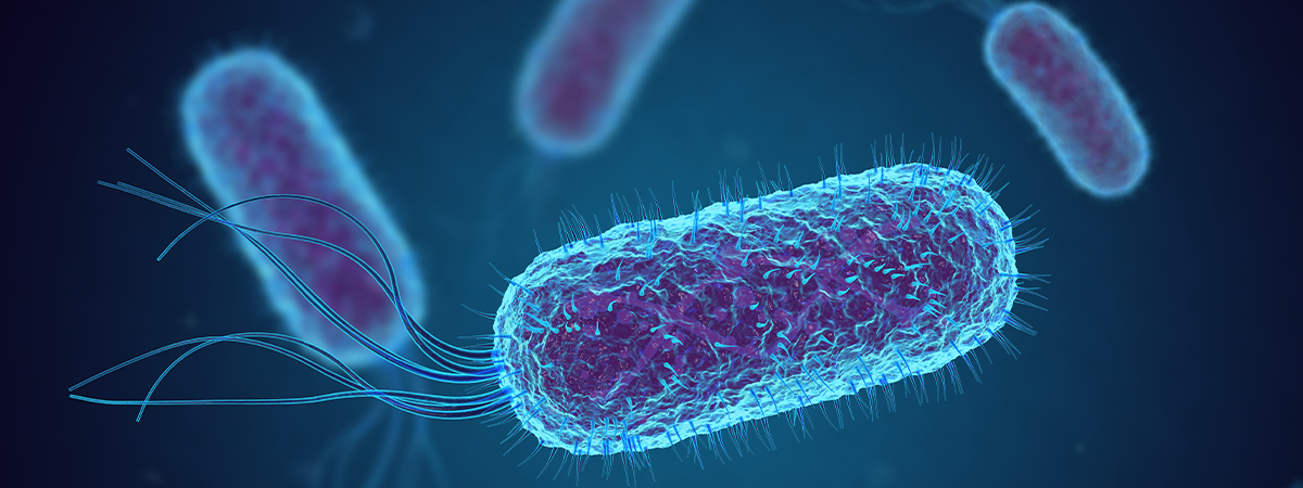 Microbiology and starter culture research at Antozyme